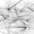 social graph