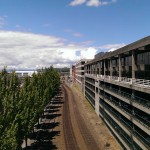 IMAG0255