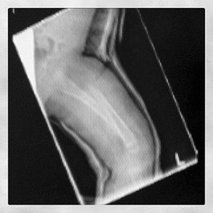 2012-02-08-14.28.25