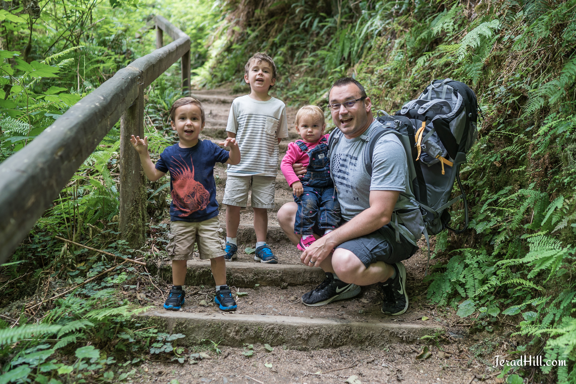 Fern Canyon