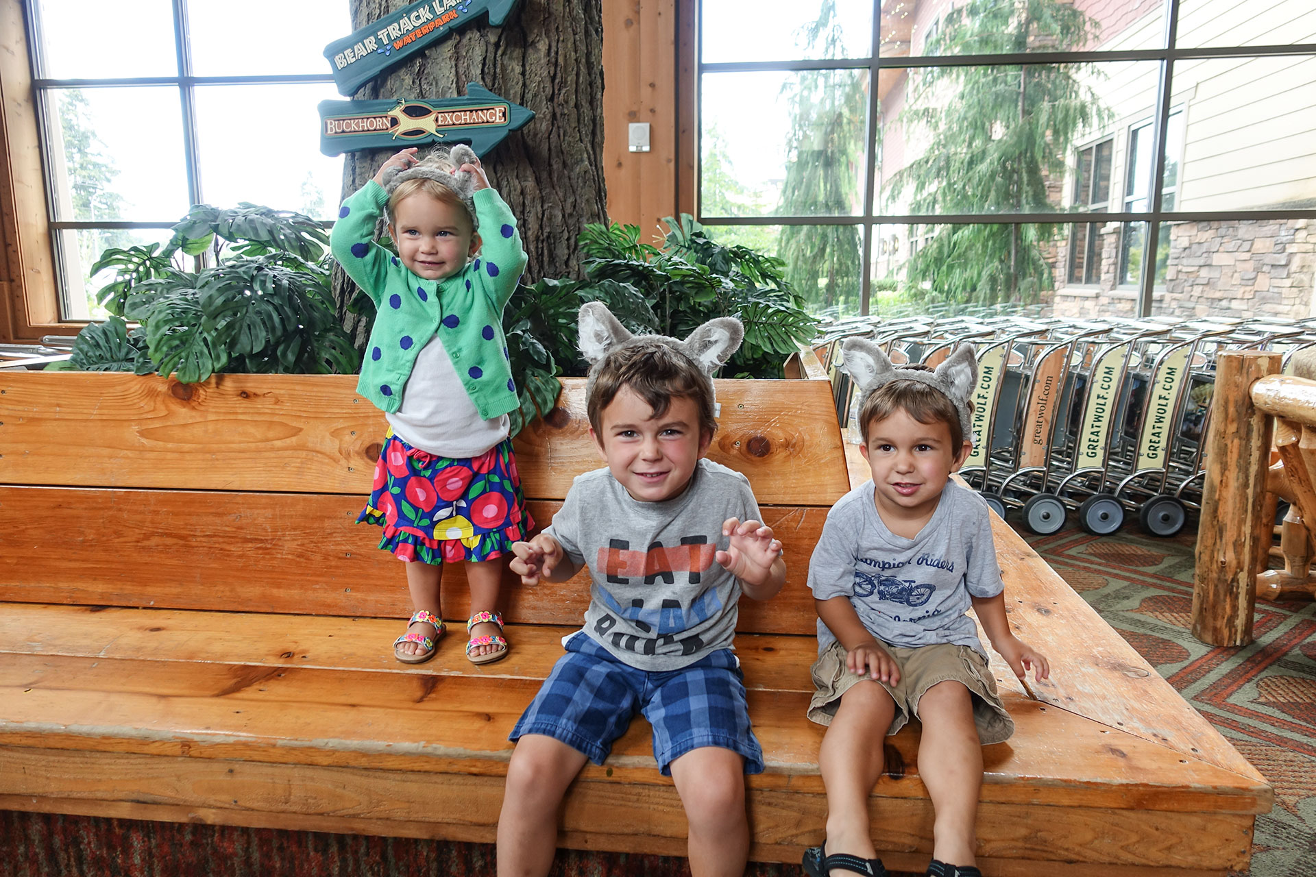 Great Wolf Lodge