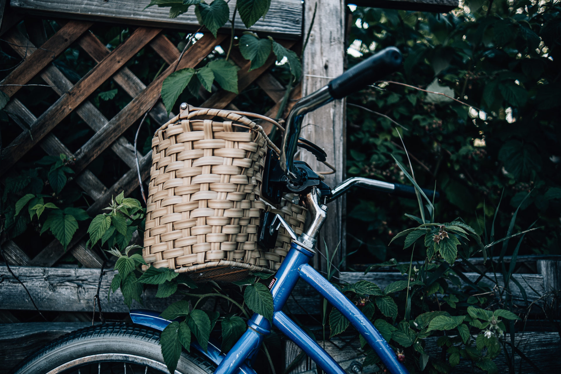 Neighbor's bike learning up against their gate.