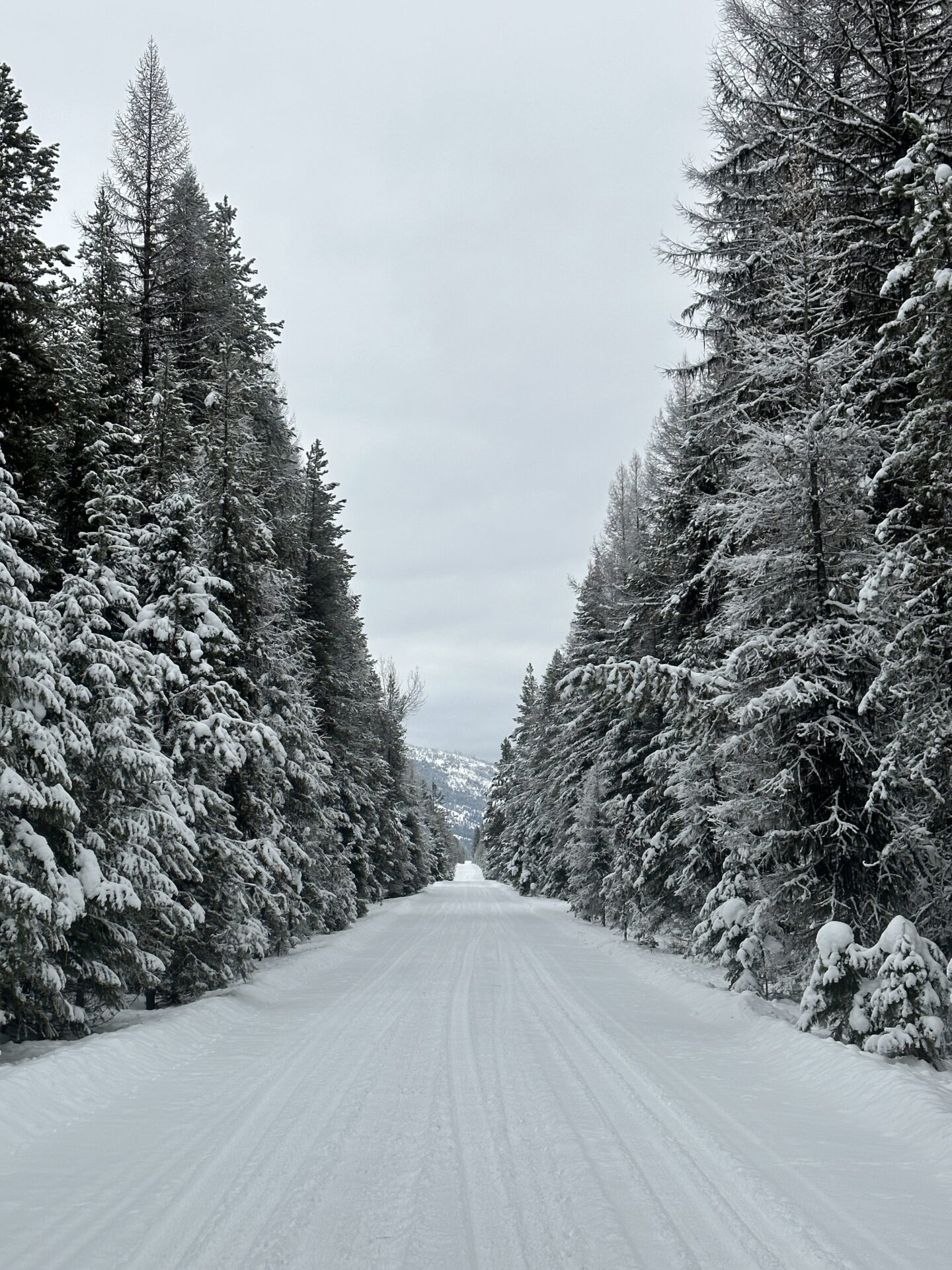 ACM Road in Libby, MT